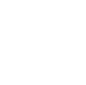 EverythingMom logo w